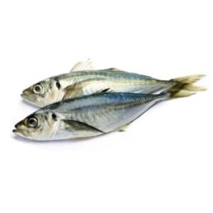Horse Mackerel Fish 3 pieces, 1.7lbs avg (IN STORE PICKUP ONLY)